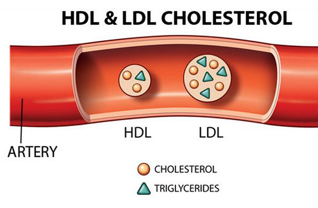 lipoproteins